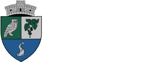 Primăria Urzicuța
